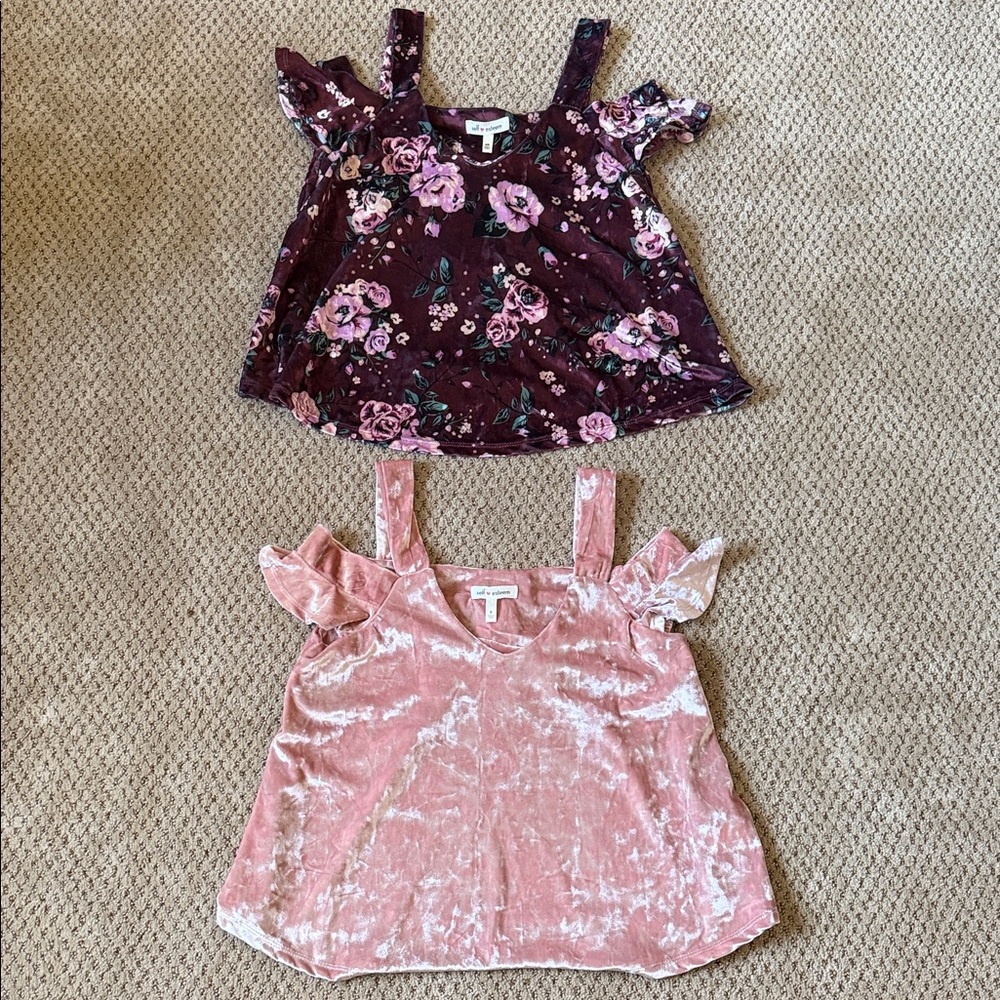 ‼️ 2 Floral and Pink Velvet Tops ‼️